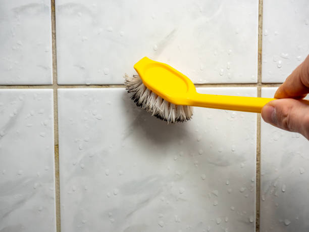Certified Mold Removal in Lansing, KS