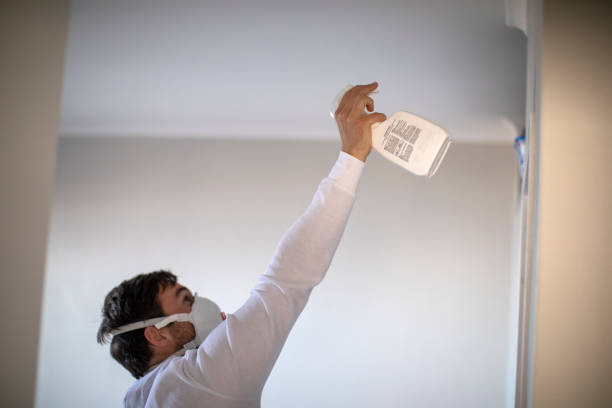Best Affordable Mold Removal  in Lansing, KS