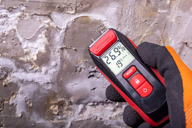 Best Mold Removal Specialists  in Lansing, KS