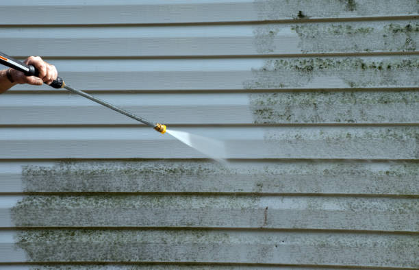 Best Mold Testing and Removal  in Lansing, KS
