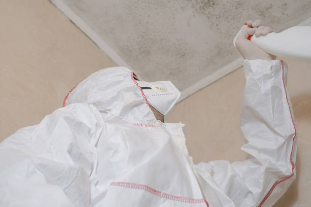 Best Mold Removal and Inspection  in Lansing, KS